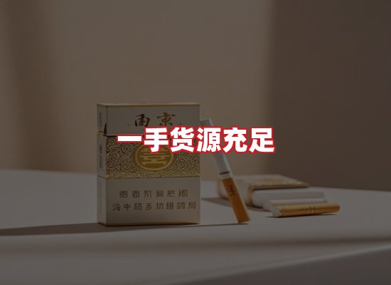 专业团队